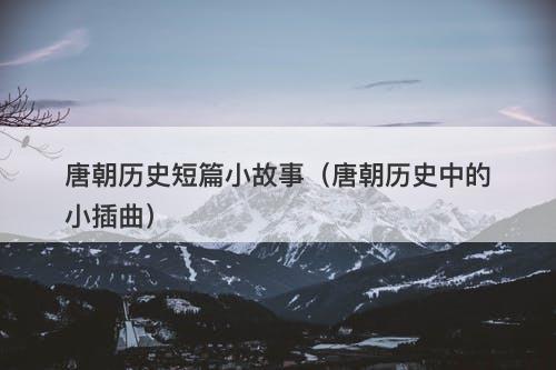 唐朝历史短篇小故事（唐朝历史中的小插曲）