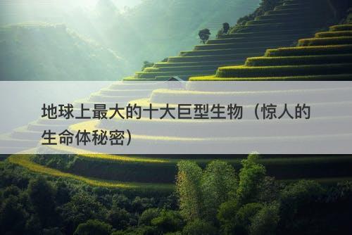 地球上最大的十大巨型生物（惊人的生命体秘密）