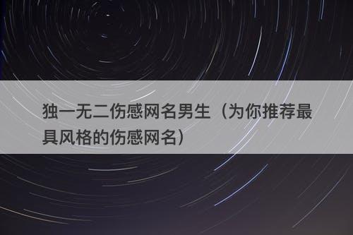 独一无二伤感网名男生（为你推荐最具风格的伤感网名）
