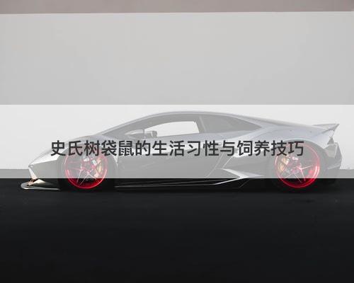 史氏树袋鼠的生活习性与饲养技巧