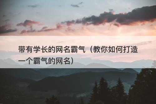 带有学长的网名霸气（教你如何打造一个霸气的网名）