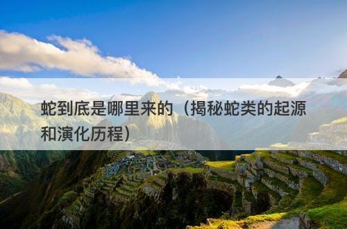 蛇到底是哪里来的（揭秘蛇类的起源和演化历程）