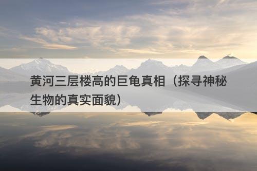 黄河三层楼高的巨龟真相（探寻神秘生物的真实面貌）