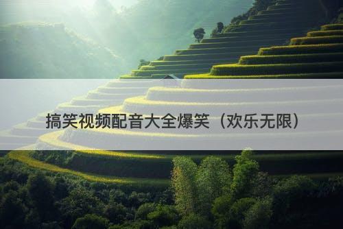 搞笑视频配音大全爆笑（欢乐无限）