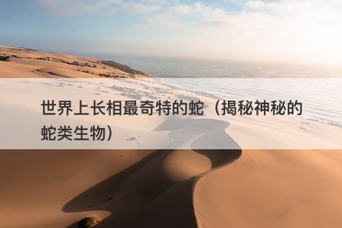 世界上长相最奇特的蛇（揭秘神秘的蛇类生物）-图1