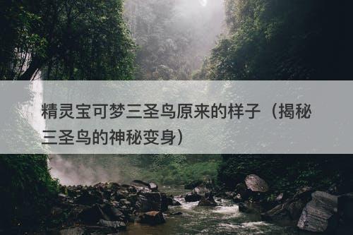 精灵宝可梦三圣鸟原来的样子（揭秘三圣鸟的神秘变身）