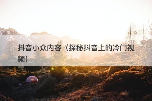 抖音小众内容（探秘抖音上的冷门视频）