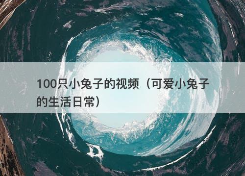 100只小兔子的视频（可爱小兔子的生活日常）