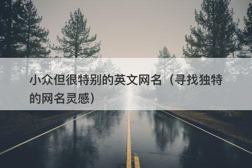 小众但很特别的英文网名（寻找独特的网名灵感）-图1