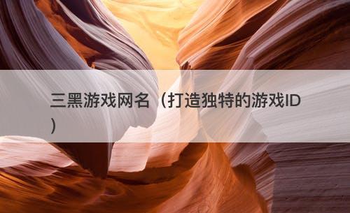 三黑游戏网名（打造独特的游戏ID）-图1