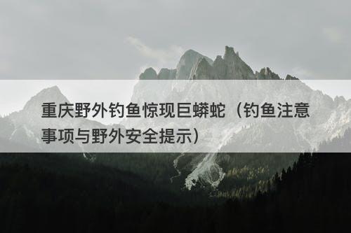 重庆野外钓鱼惊现巨蟒蛇（钓鱼注意事项与野外安全提示）