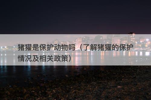 猪獾是保护动物吗（了解猪獾的保护情况及相关政策）