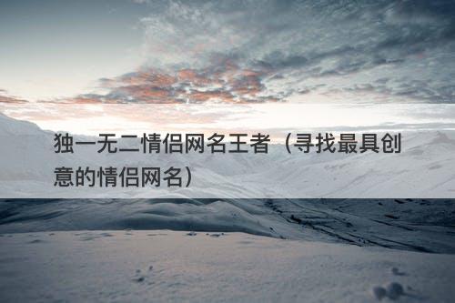 独一无二情侣网名王者（寻找最具创意的情侣网名）