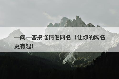 一问一答搞怪情侣网名（让你的网名更有趣）