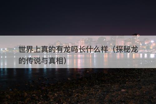 世界上真的有龙吗长什么样（探秘龙的传说与真相）-图1