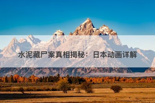 水泥藏尸案真相揭秘：日本动画详解