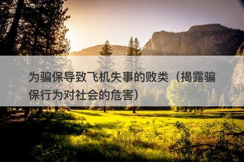 为骗保导致飞机失事的败类（揭露骗保行为对社会的危害）-图1