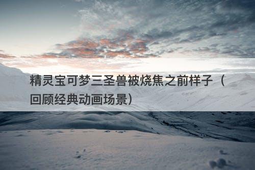 精灵宝可梦三圣兽被烧焦之前样子（回顾经典动画场景）-图1