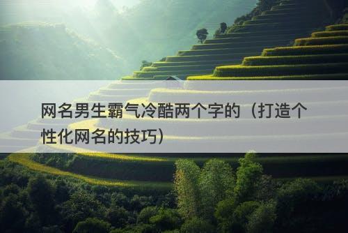 网名男生霸气冷酷两个字的（打造个性化网名的技巧）