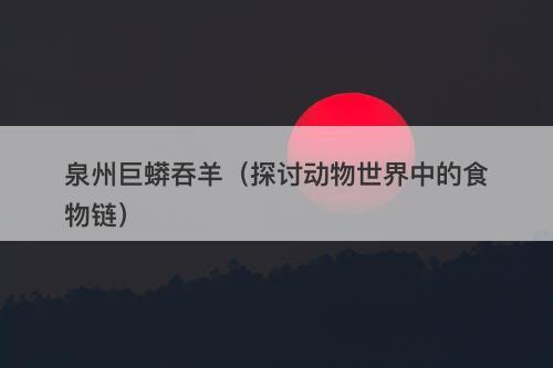 泉州巨蟒吞羊（探讨动物世界中的食物链）