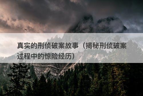 真实的刑侦破案故事（揭秘刑侦破案过程中的惊险经历）