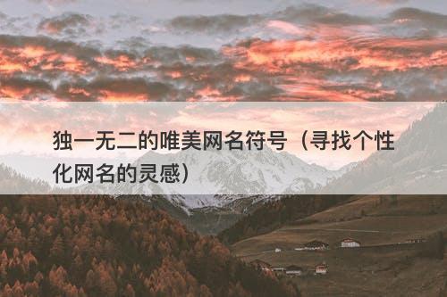 独一无二的唯美网名符号（寻找个性化网名的灵感）