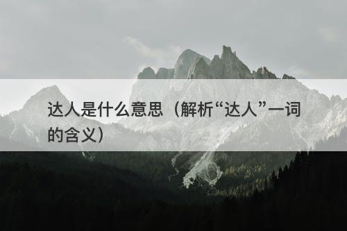 达人是什么意思（解析“达人”一词的含义）