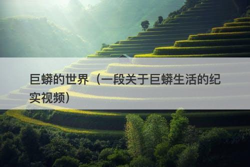 巨蟒的世界（一段关于巨蟒生活的纪实视频）