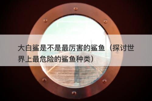 大白鲨是不是最厉害的鲨鱼(探讨世界上最危险的鲨鱼种类)-图1 大白鲨是不是最厉害的鲨鱼(探讨世界上最危险的鲨鱼种类)-图1