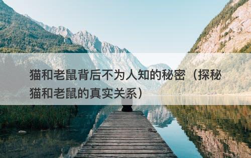 猫和老鼠背后不为人知的秘密(探秘猫和老鼠的真实关系)-图1 猫和老鼠背后不为人知的秘密(探秘猫和老鼠的真实关系)-图1