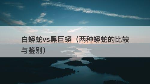 白蟒蛇vs黑巨蟒（两种蟒蛇的比较与鉴别）-图1