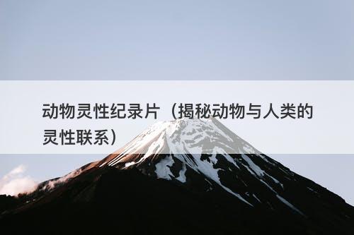 动物灵性纪录片（揭秘动物与人类的灵性联系）