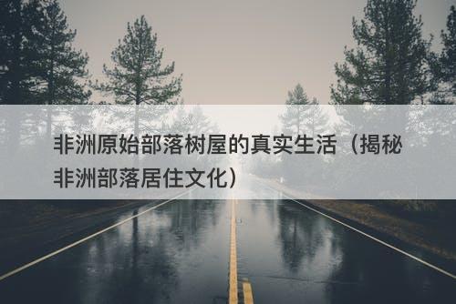 非洲原始部落树屋的真实生活（揭秘非洲部落居住文化）-图1