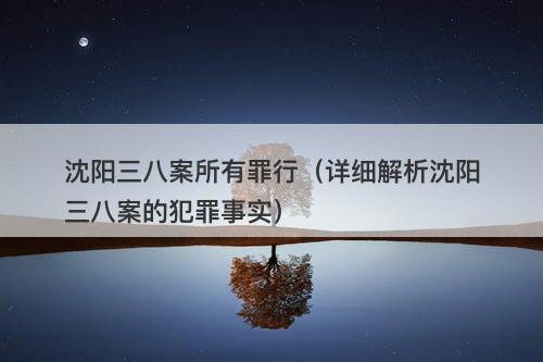 沈阳三八案所有罪行（详细解析沈阳三八案的犯罪事实）