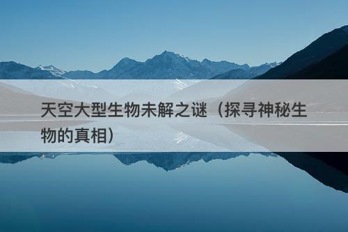 天空大型生物未解之谜（探寻神秘生物的真相）