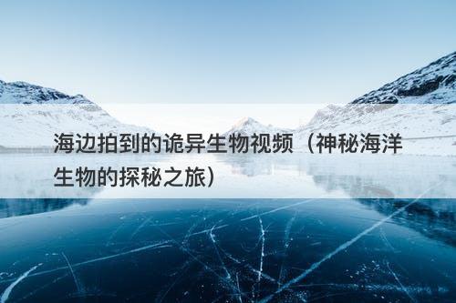海边拍到的诡异生物视频（神秘海洋生物的探秘之旅）