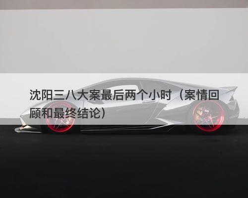 沈阳三八大案最后两个小时（案情回顾和最终结论）