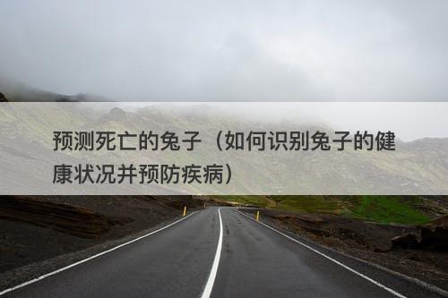 预测死亡的兔子（如何识别兔子的健康状况并预防疾病）