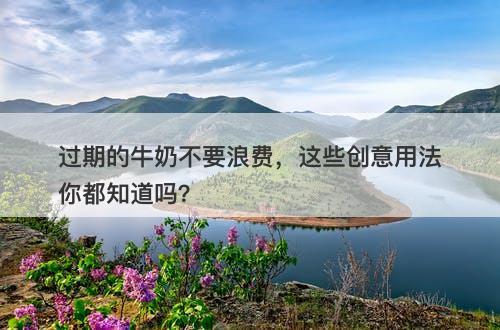 过期的牛奶不要浪费，这些创意用法你都知道吗？