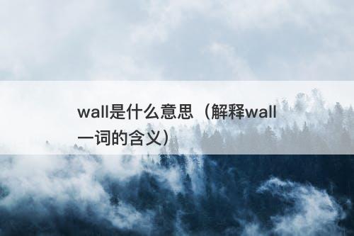 wall是什么意思（解释wall一词的含义）