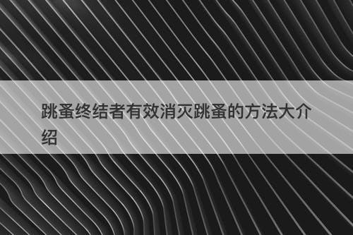 跳蚤终结者有效消灭跳蚤的方法大介绍
