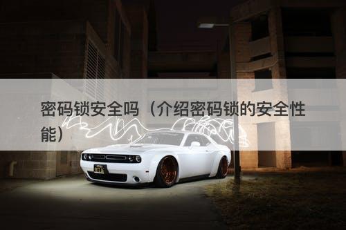 密码锁安全吗（介绍密码锁的安全性能）