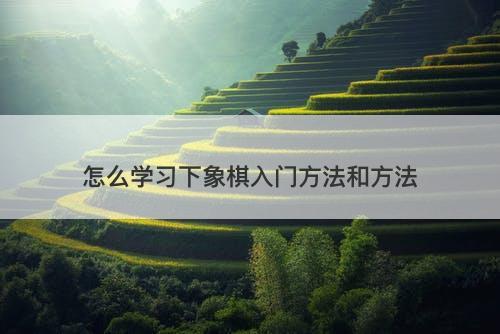 怎么学习下象棋入门方法和方法