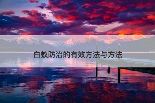 白蚁防治的有效方法与方法