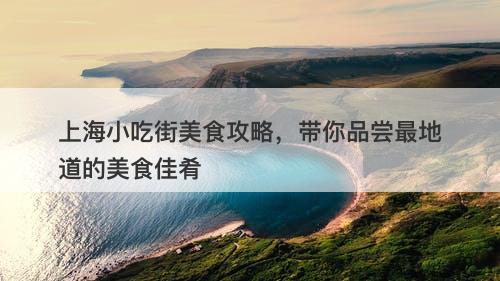 上海小吃街美食攻略，带你品尝最地道的美食佳肴