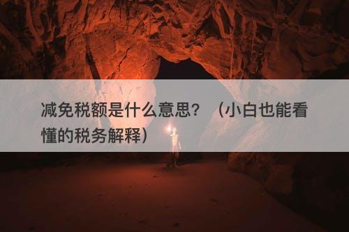 减免税额是什么意思？（小白也能看懂的税务解释）