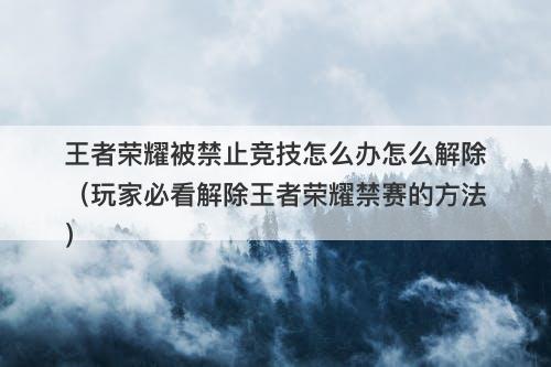王者荣耀被禁止竞技怎么办怎么解除（玩家必看解除王者荣耀禁赛的方法）