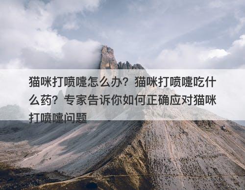 猫咪打喷嚏怎么办？猫咪打喷嚏吃什么药？专家告诉你如何正确应对猫咪打喷嚏问题