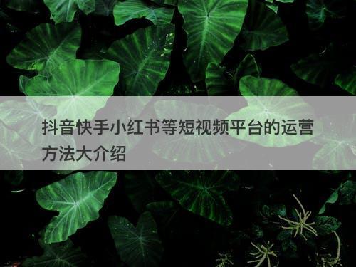 抖音快手小红书等短视频平台的运营方法大介绍