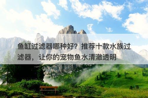 鱼缸过滤器哪种好？推荐十款水族过滤器，让你的宠物鱼水清澈透明
